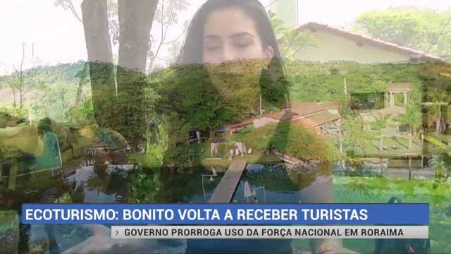 Daniela Albuquerque: 