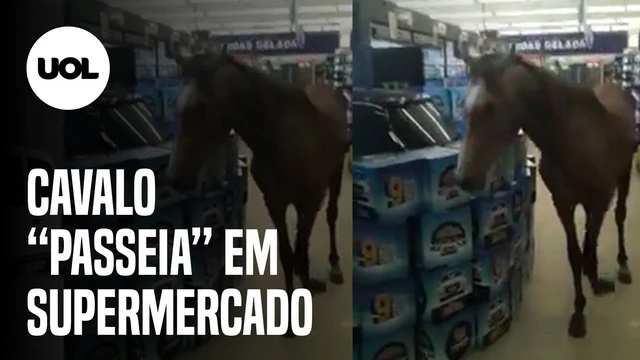 Cavalo entra em mercado e sai sem derrubar nada; confira
