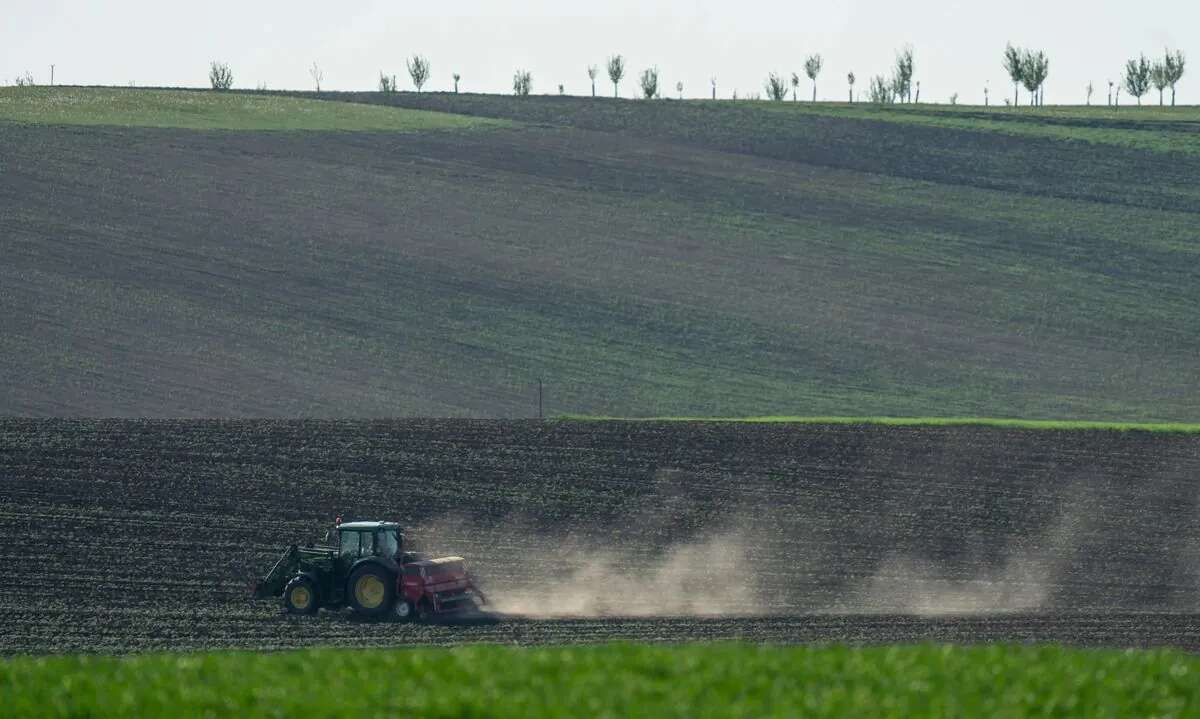 Вартість розмінування сільськогосподарських земель готовий покрити уряд