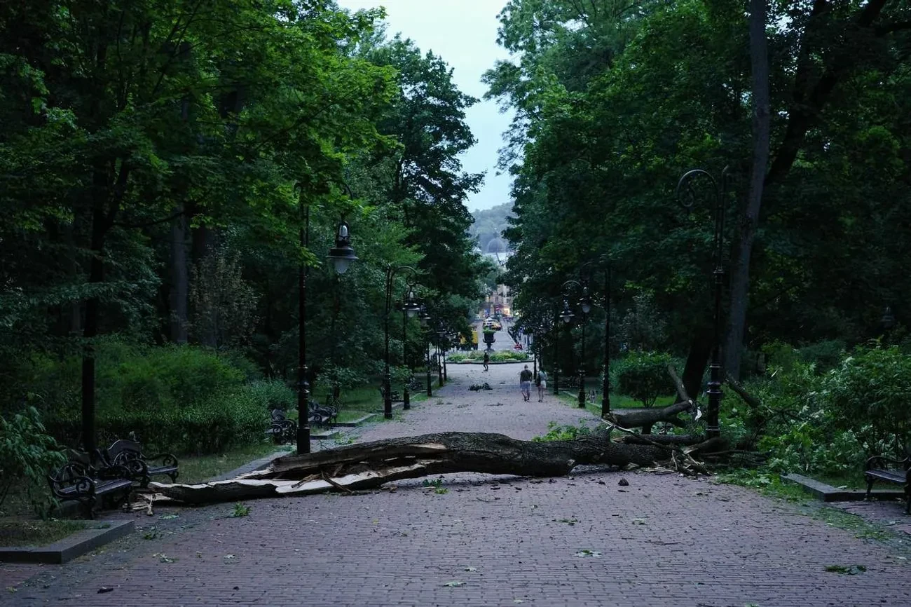 Пошкоджено 33 дерева, зафіксовано 8 замикань електромереж: Садовий про наслідки негоди