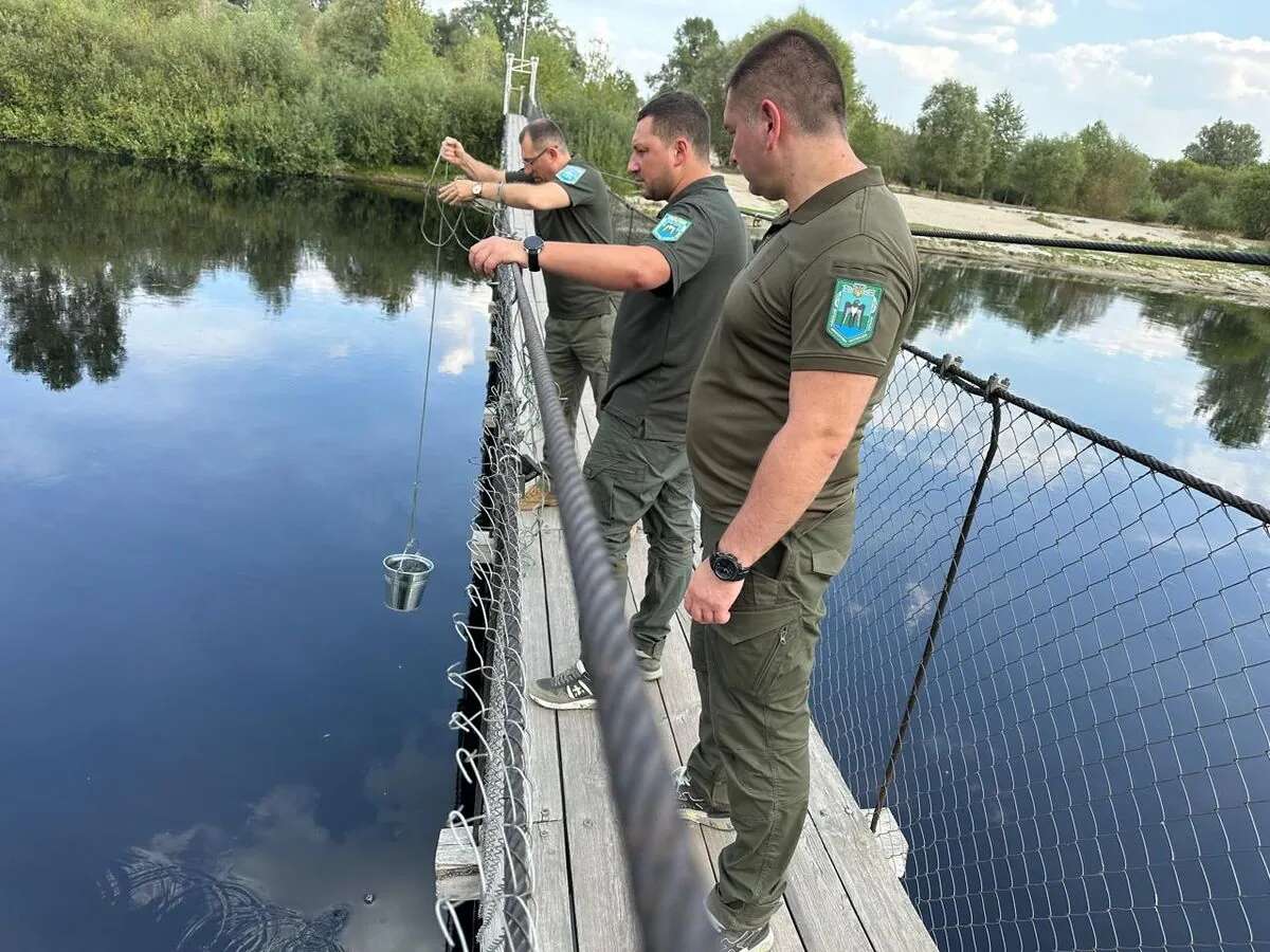 Забруднення Десни змінює характер, фіксується за 38 км до Чернігова - Міндовкілля