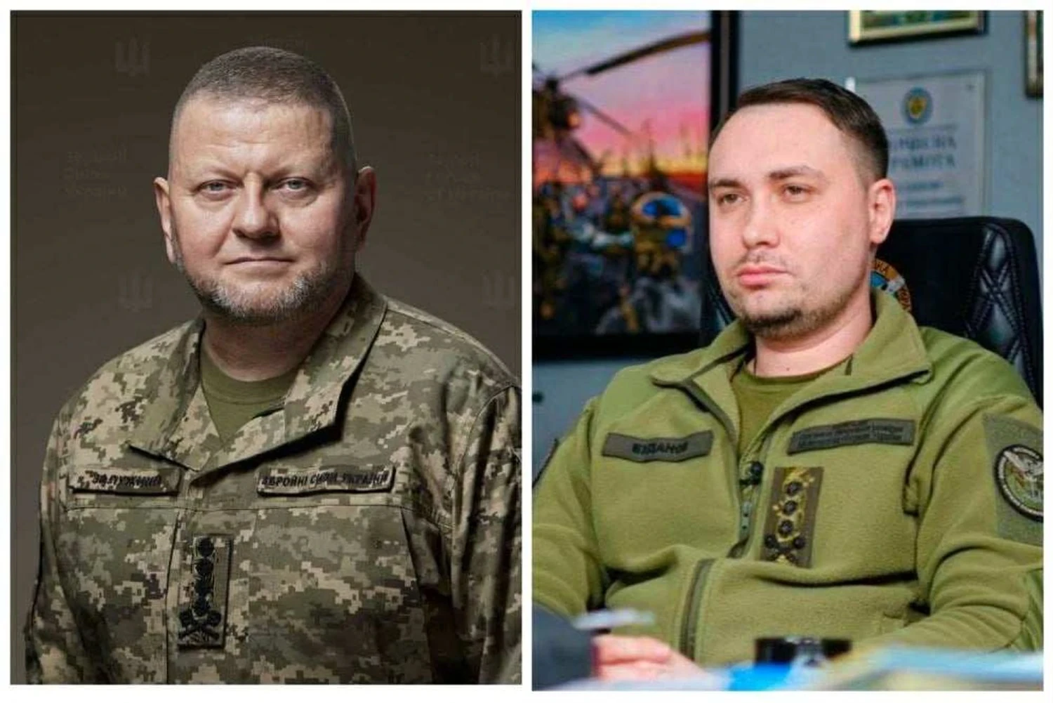 Чому українці довіряють Залужному і Буданову - блогер назвав причини