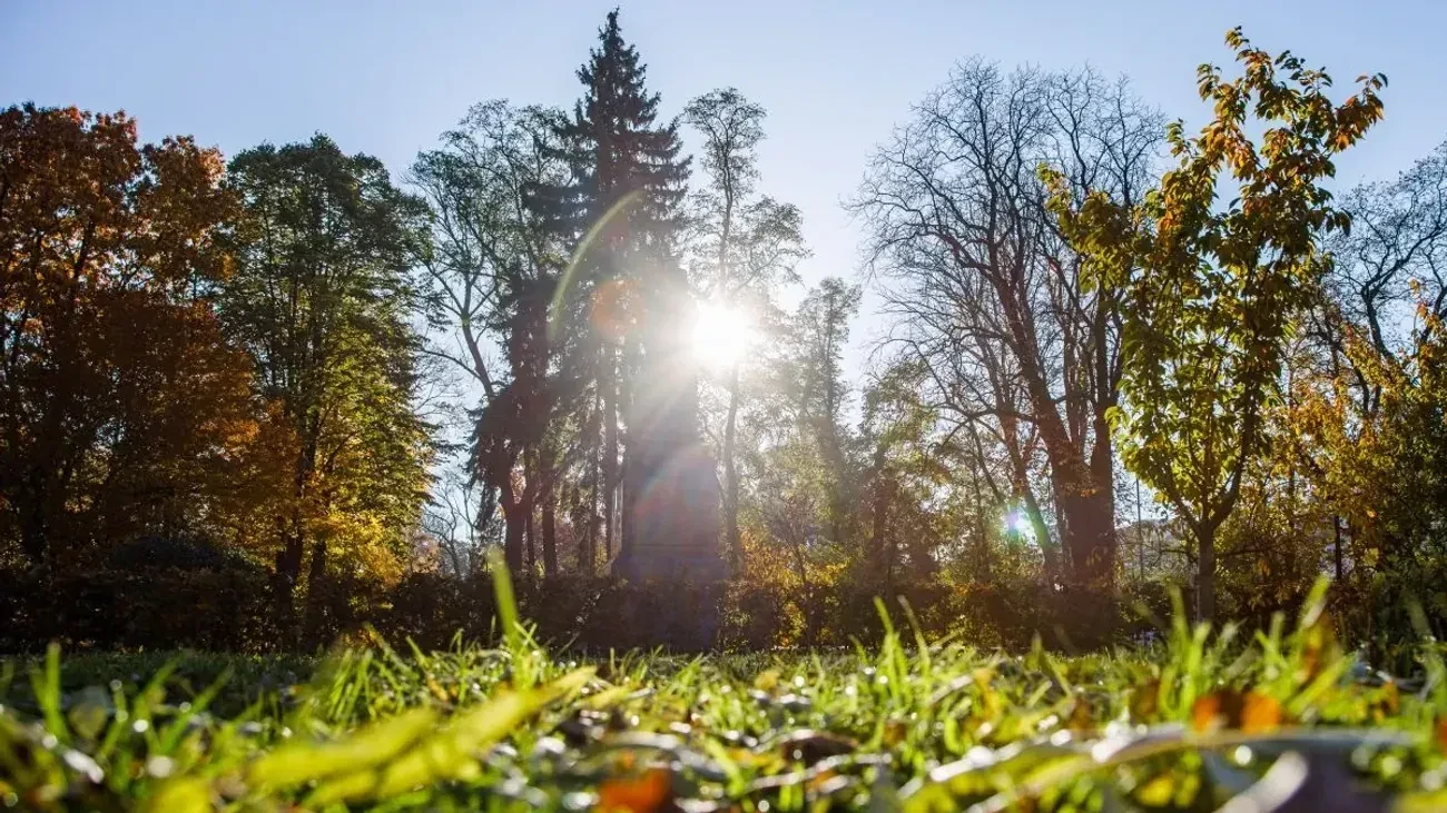 В Україні 28 березня очікується до +20°C, але потім прийде похолодання - синоптик