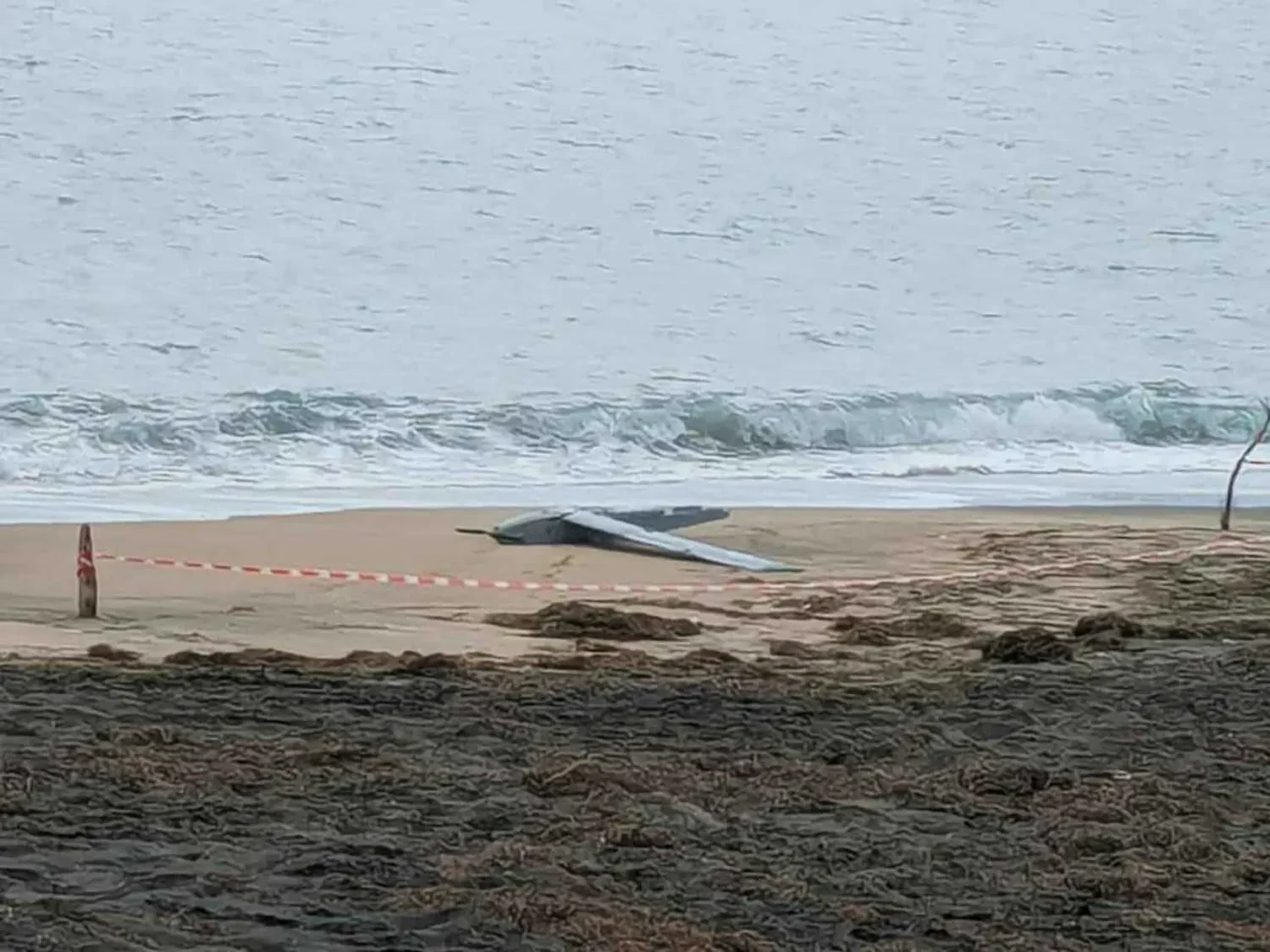 У Болгарії море викинуло на берег військовий дрон: територію навколо знахідки оточили – ЗМІ