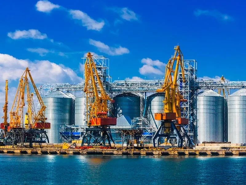 В Україні діє розгалужена система агрокомпаній зі зв'язками з рф. Що відомо
