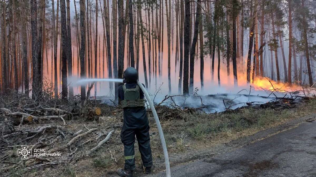 Міндовкілля про масові пожежі: лише за добу ліквідовано понад 50 загорянь