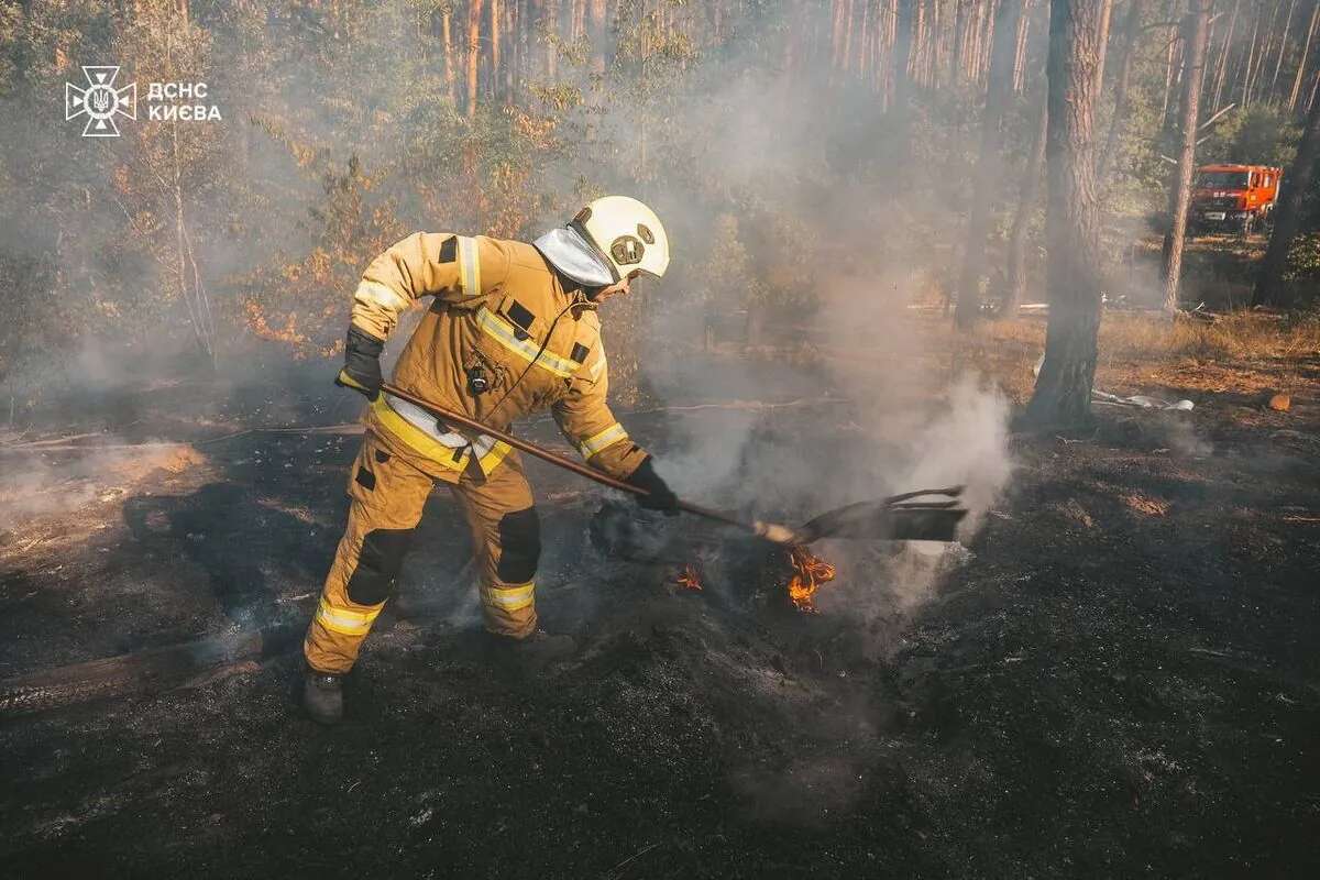 У Києві ліквідовано пожежі трав'яного настилу в трьох районах: площа пожеж - 1,63 гектара