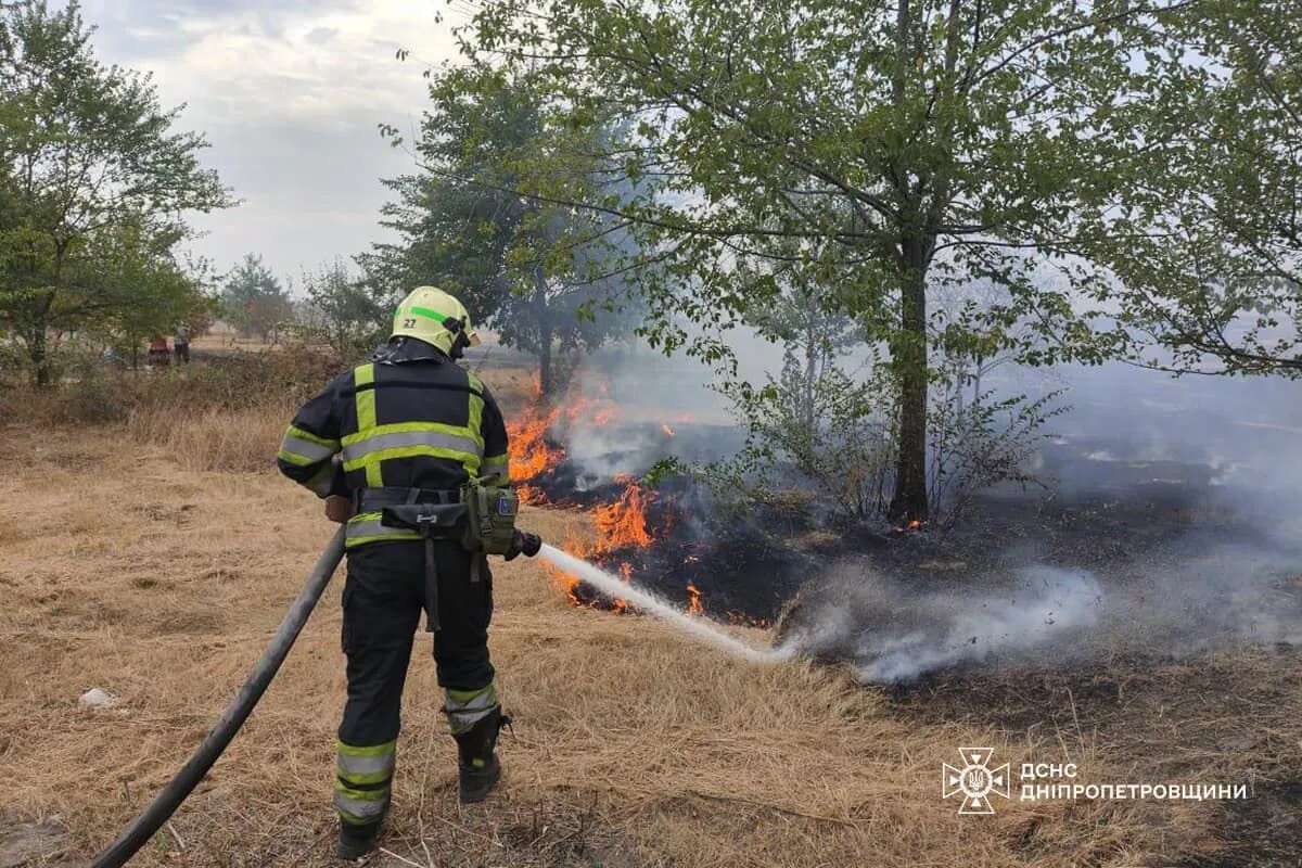 В Україні за добу унаслідок пожеж згоріло понад 650 га лісу