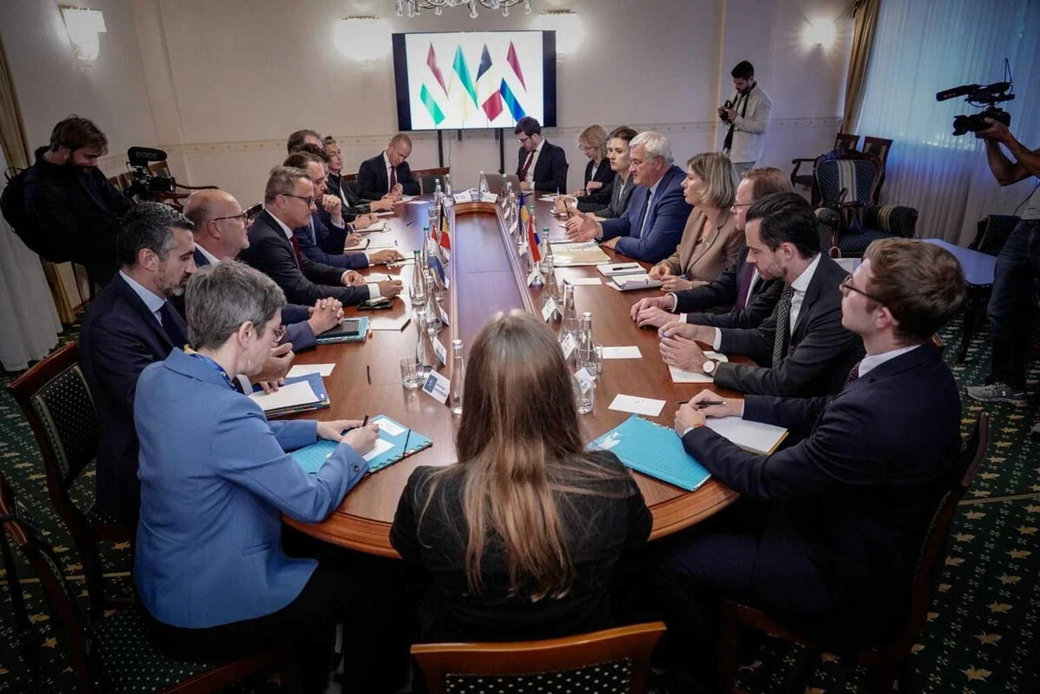 Заява членів формату Україна-Бенілюкс: війна рф має бути припинена відновленням міцного миру