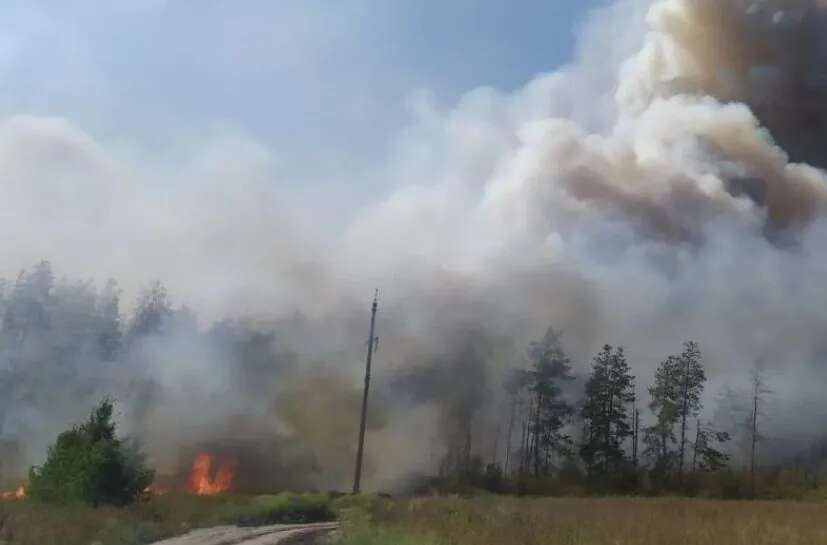 Власники домогосподарств Донеччини, які втратили майно через російські обстріли, можуть отримати компенсацію 