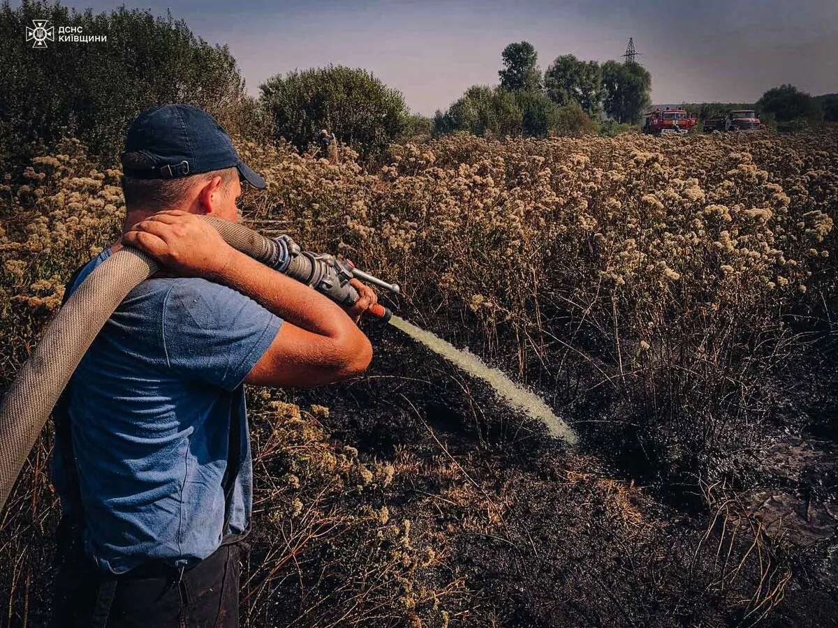 На Київщині горять торфовища: виявили три осередки займання