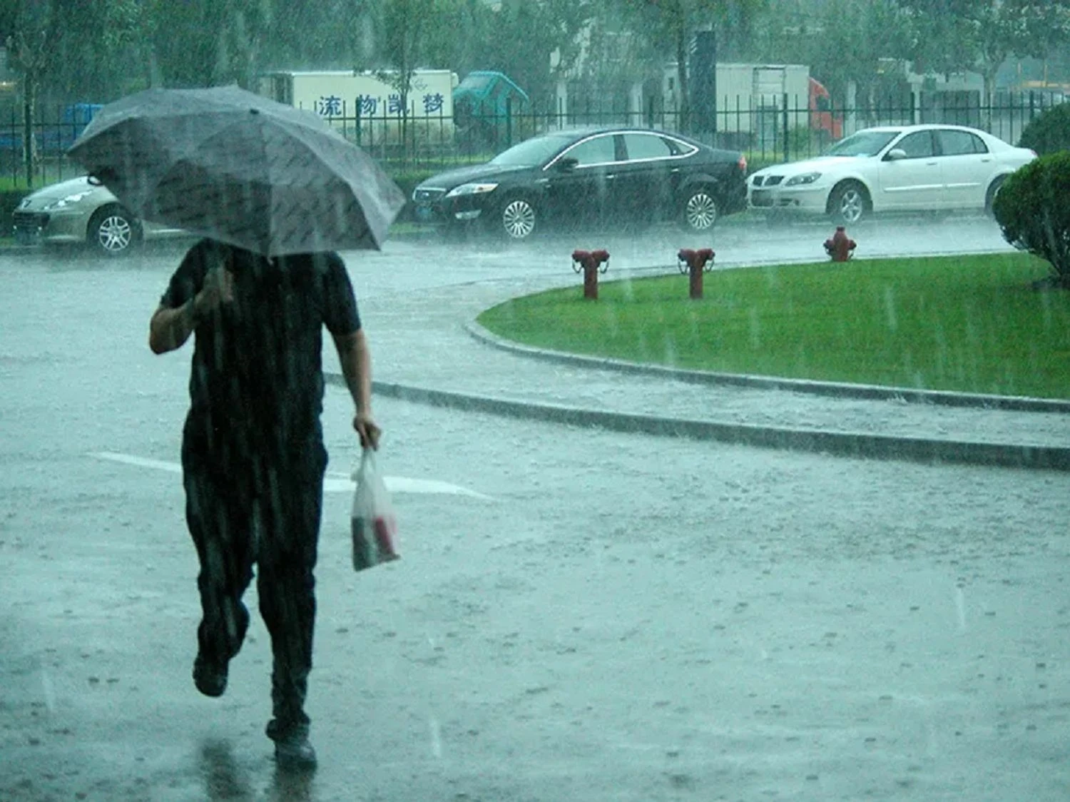Україну накриють дощі з грозами, температура повітря не перевищить 20° - синоптики