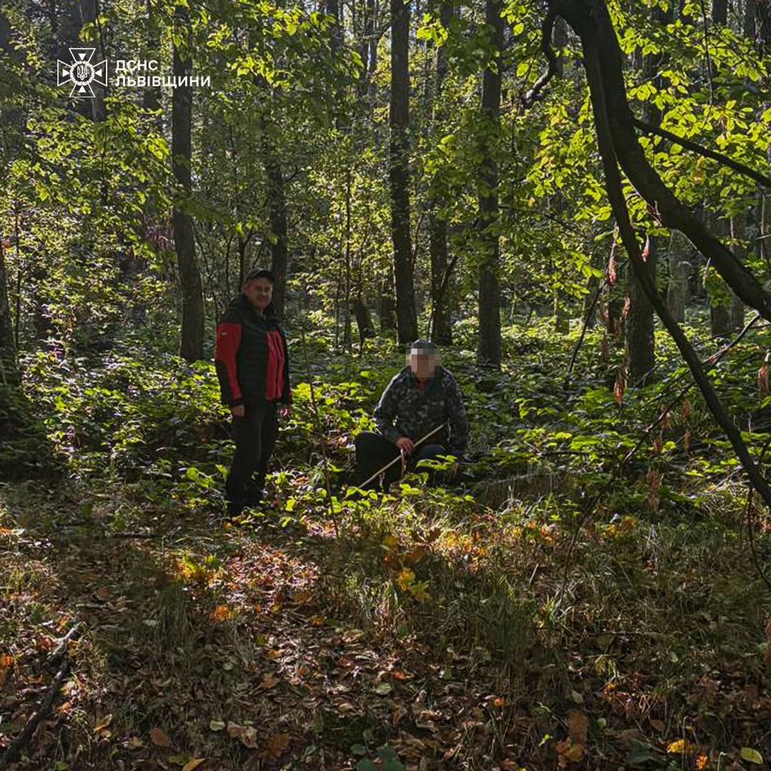 Пішов по гриби й не повернувся: на Львівщини у лісі знайшли тіло грибника