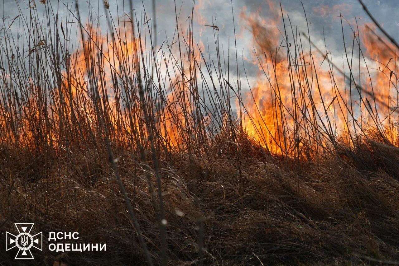 На Одещині рятувальники ліквідовують масштабну пожежу на відкритій території