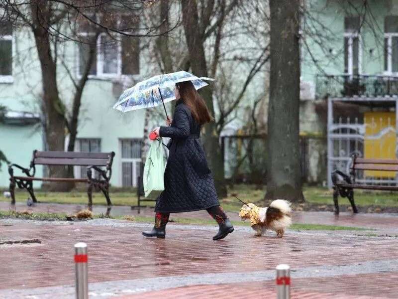 В Україні у п'ятницю очікується до +22 градусів, але скоро знову похолодає - синоптикиня