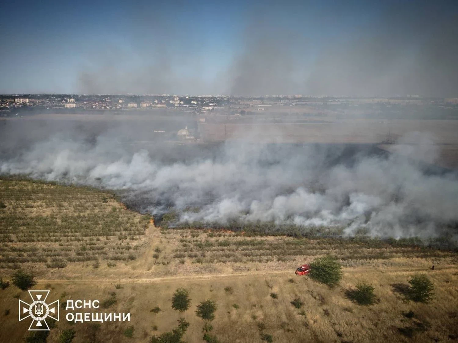 Масштабна пожежа сухої рослинності на Одещині охопила близько 25 гектарів