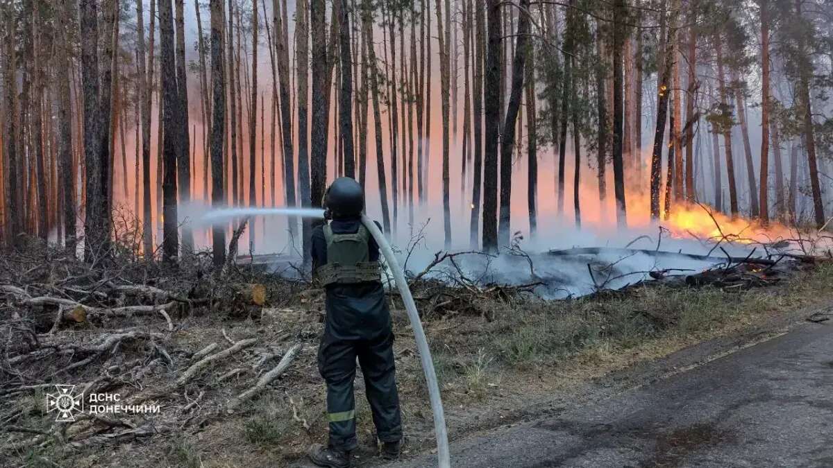 На Донеччині ліквідували масштабну лісову пожежу в нацпарку 