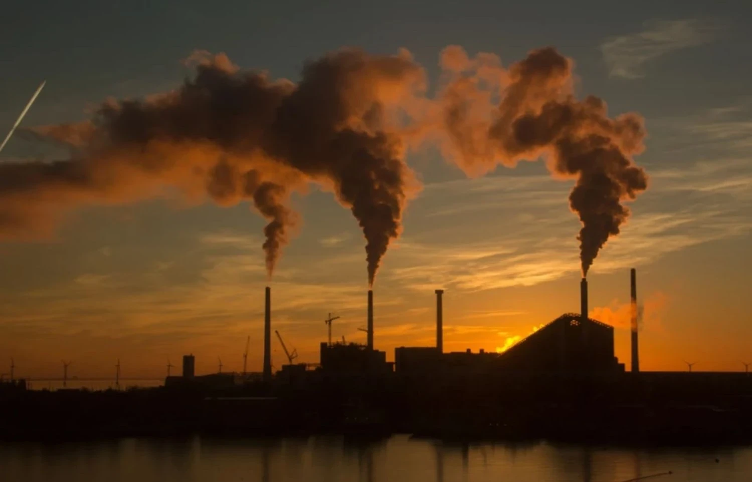 Спека та забруднення повітря призвели до загибелі мільйонів людей в світі - дослідження