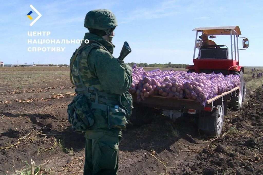 Окупанти створюють новий механізм вилучення врожаю у херсонських фермерів – Спротив