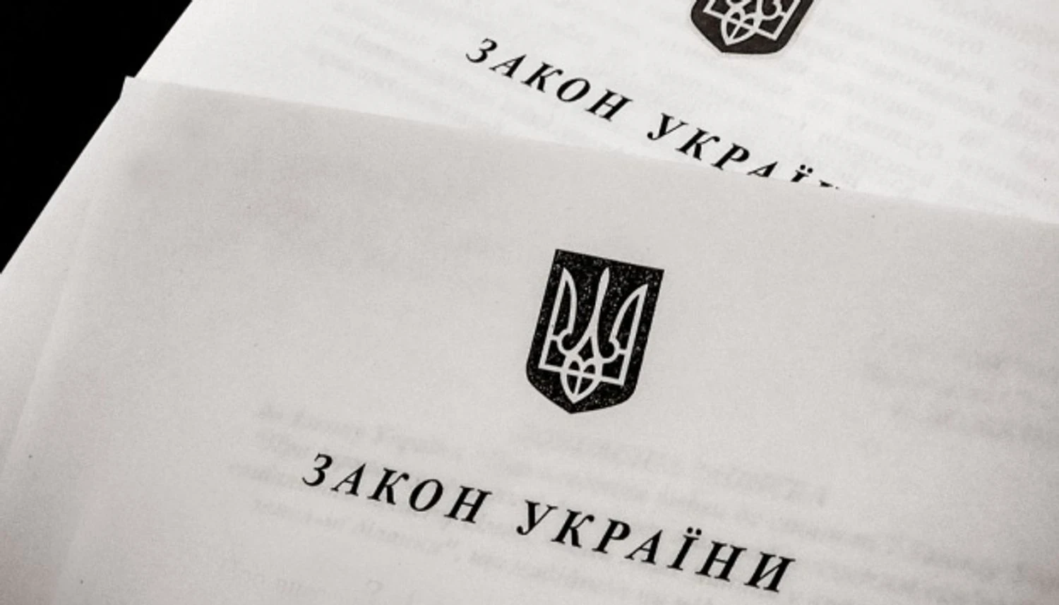 Зеленський підписав закон про державно-приватне партнерство: має сприяти спільному виробництву зброї