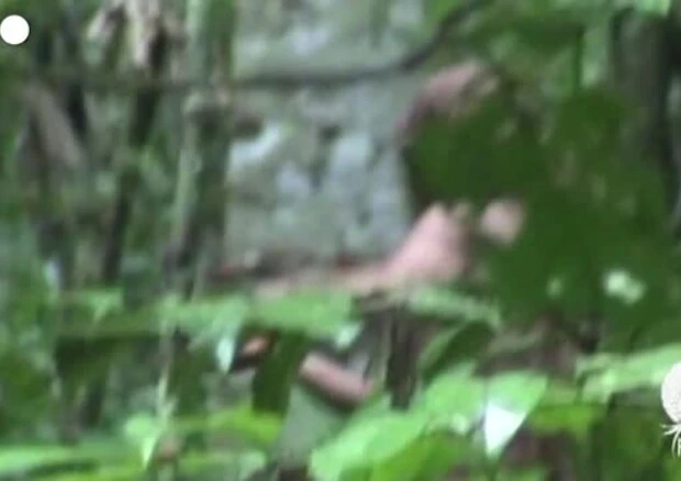 Morto in Brasile l'Uomo della buca, simbolo del genocidio indigeno