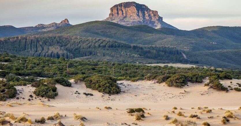 Lungo i cammini della Sardegna francescana