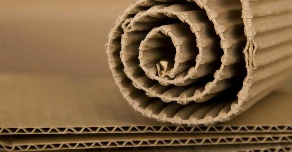 Packaging, italiani i più preparati d’Europa nel riciclo del cartone