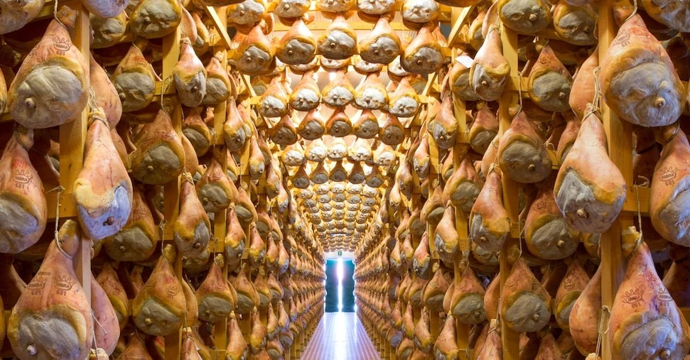La Food Valley di Parma vale 8,2 miliardi e il 33% arriva dall’export