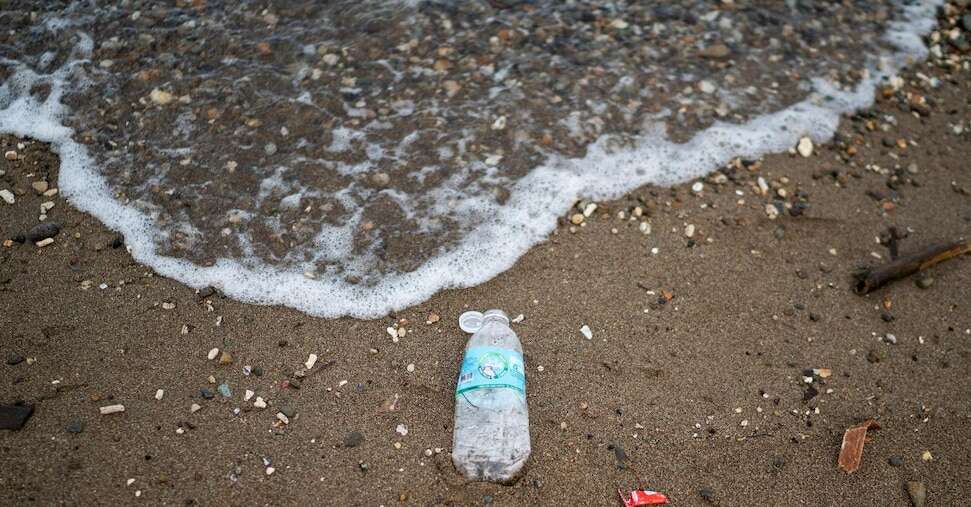 Inquinamento, il plancton marino capace di smaltire le bioplastiche