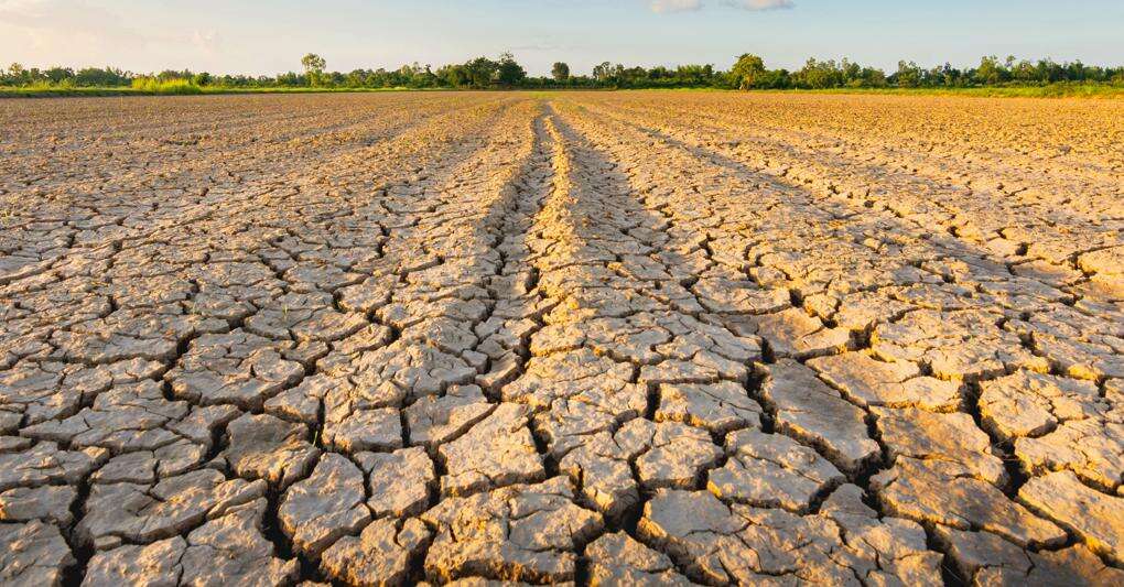 Alla ricerca di metodi efficaci per estrarre l’acqua dall’aria