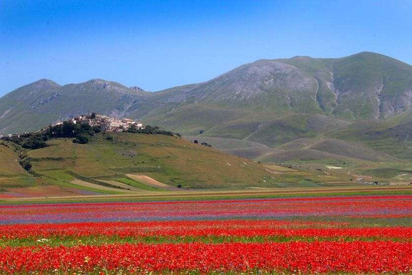 Brunello Cucinelli: «Così ricostruiremo Castelluccio di Norcia»