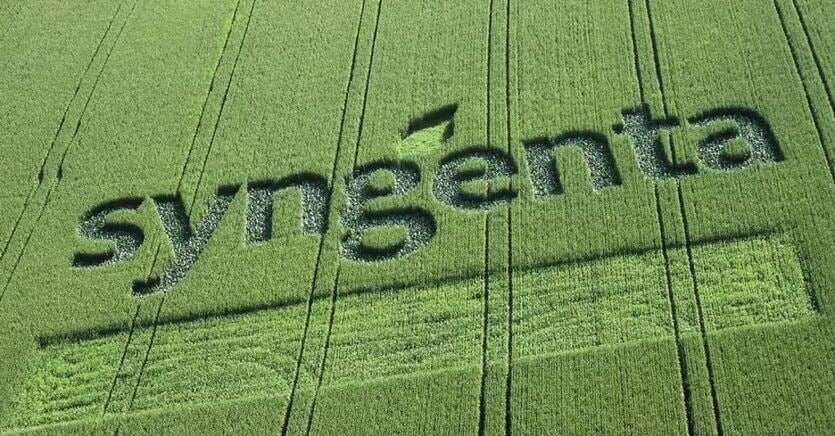 Syngenta, ok alla quotazione a Shanghai. Maxi Ipo da 8,5 miliardi di euro