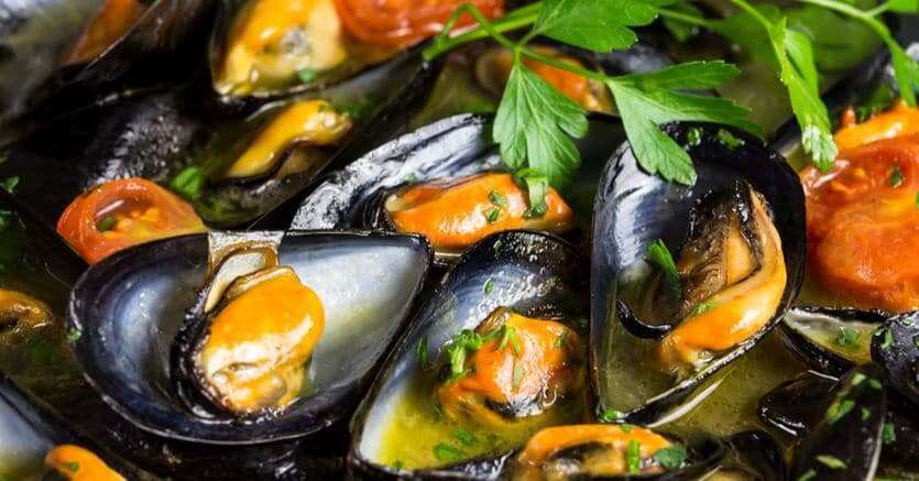 Cozze nere di Taranto, marchio e sostenibilità per allontanare la crisi