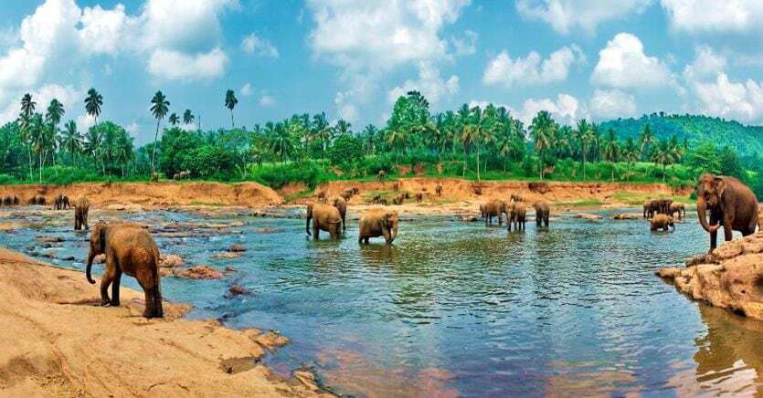 Reportage dallo Sri Lanka ipnotico e conturbante