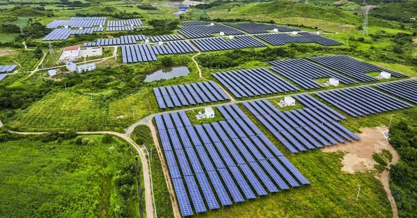 Decreto agricoltura, tutte le novità: dai pannelli nei campi all’impiego dei militari nella caccia ai cinghiali, al granchio blu