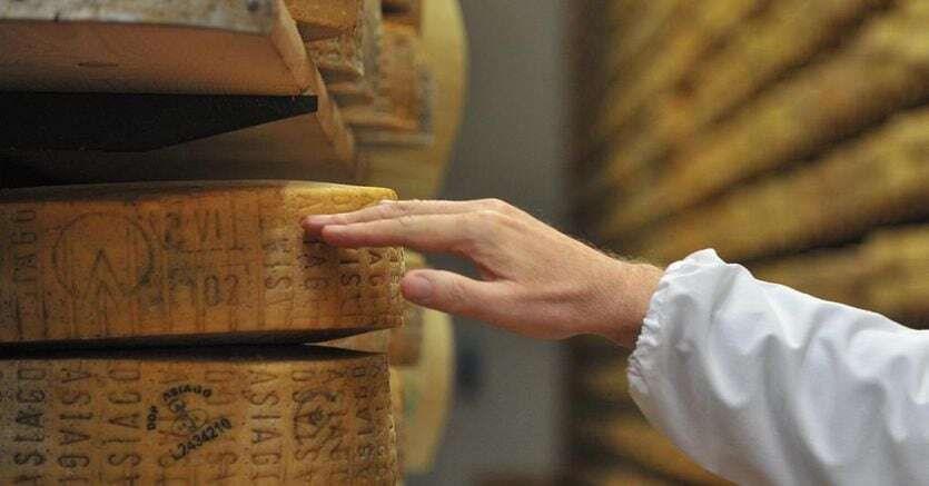 L’italian sounding divide anche le aziende tricolori: Asiago Dop contro Citterio