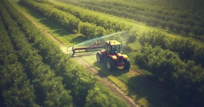 Arriva il servizio civile in agricoltura: ecco di che si tratta e chi coinvolge