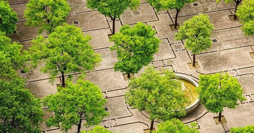 Salvaguardia dell'ambiente, 9 milioni per i Comuni della Basilicata