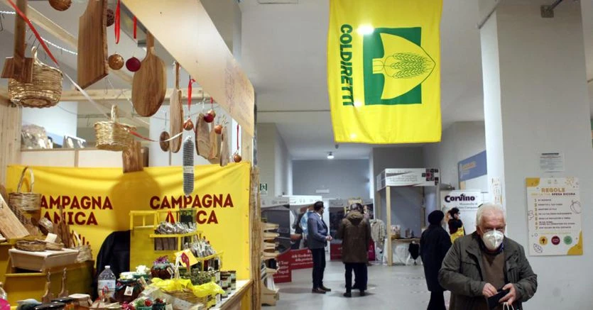 Carne artificiale, la Francia segue l’Italia e propone una legge. Coldiretti: «Siamo apripista in Europa»