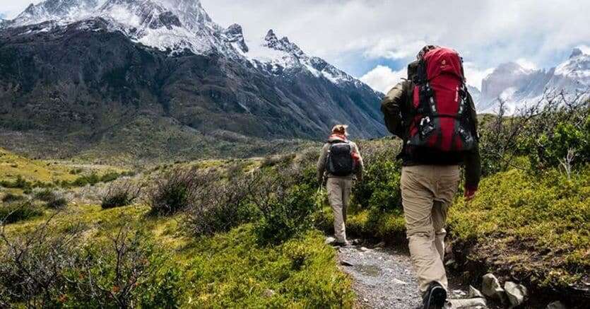 Trekking di primavera nei boschi più belli, più vecchi e più grandi d'Italia