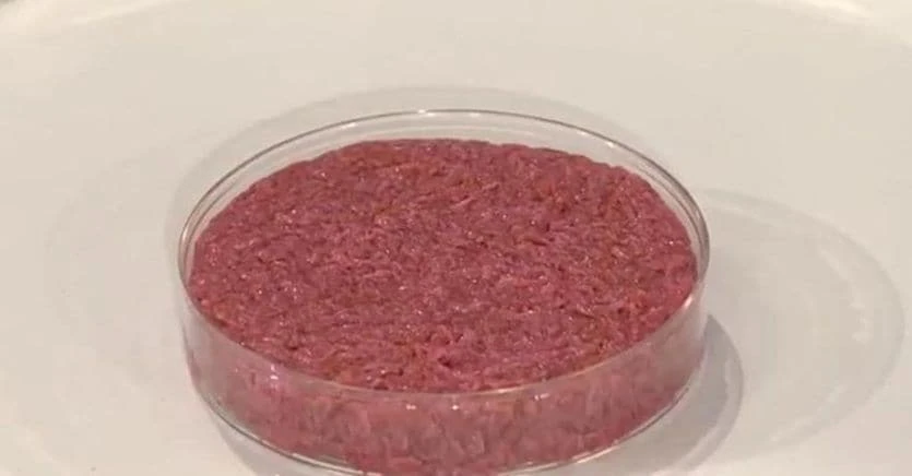 Ddl carne coltivata in attesa della notifica a Bruxelles