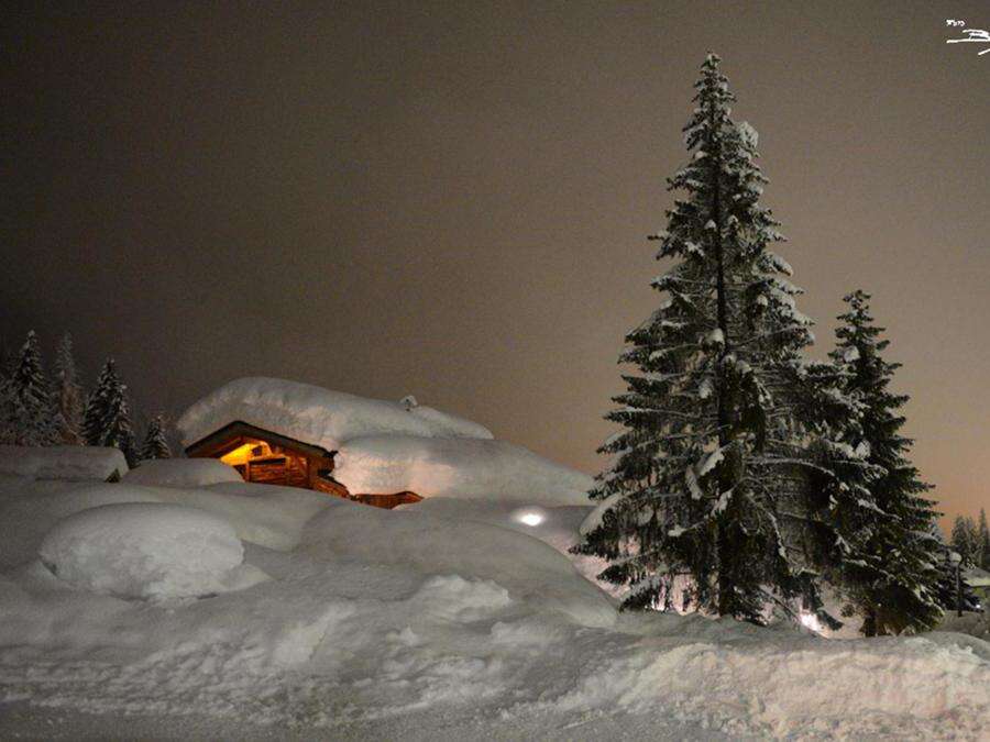 Pronti con gli sci ai piedi a Campiglio, Livigno e Tonale