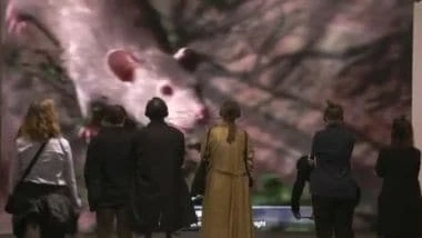 Art Basel, il mercato dell'arte vale 65 miliardi di dollari