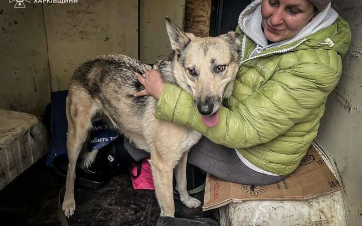 Рятувальники за день евакуювали шістьох людей похилого віку з Харківщини