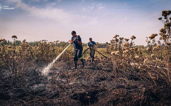 У чотирьох районах Київської області зафіксували пожежі торф’яників, трав’яного настилу та лісової підстилки