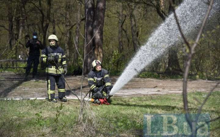 У Києві та області на вихідні оголосили надзвичайний рівень пожежної небезпеки, - КМДА