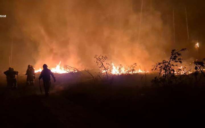 На Донечиині рятувальники понад 10 годин гасили пожежу лісу, спричинену обстрілом