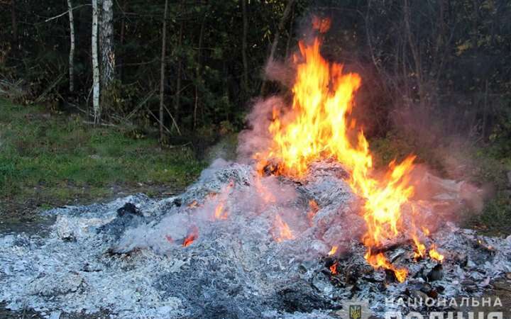 ​На Житомирщині поліція знищила 60 кг наркотиків і 6 тисяч нарковмісних рослин