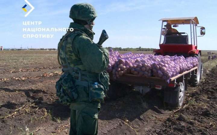 Росіяни почали відбирати у фермерів на ТОТ Херсонщини весь врожай