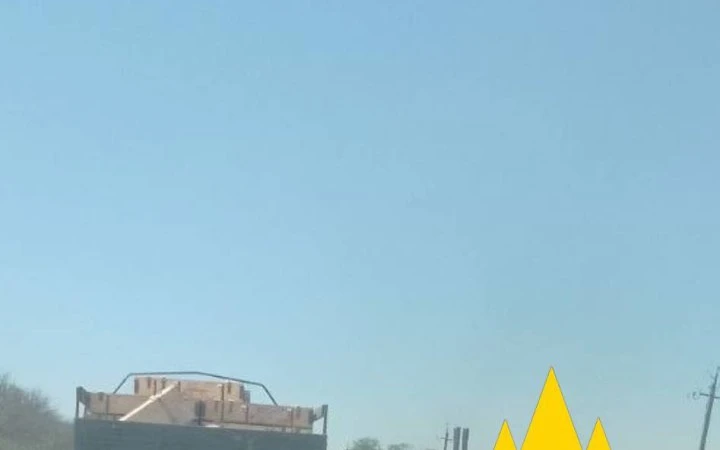 Партизани 